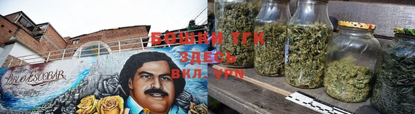 ГАЛЛЮЦИНОГЕННЫЕ ГРИБЫ Алзамай