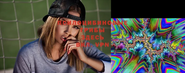 ешки Алексин