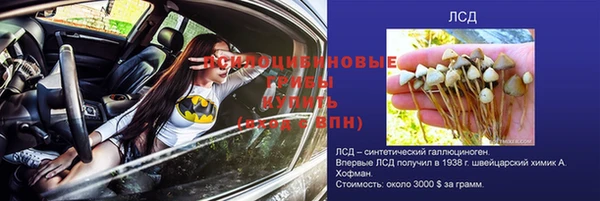 ГАЛЛЮЦИНОГЕННЫЕ ГРИБЫ Алзамай
